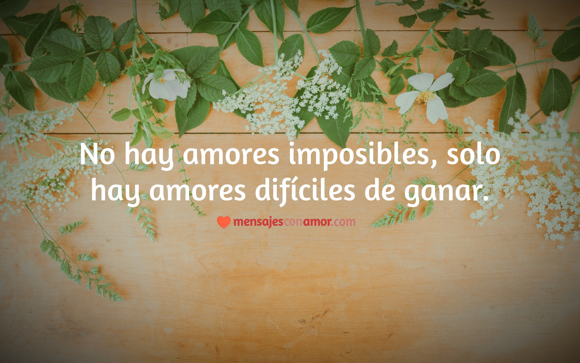 frases motivadoras sobre el amor