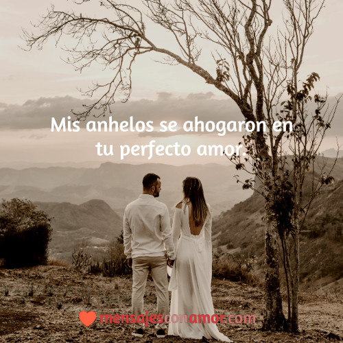 frases lindas para novio